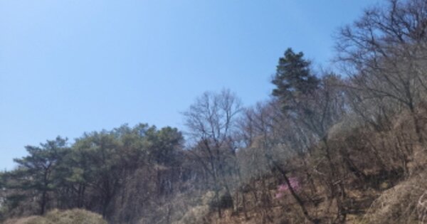 경기도 양평군 옥천면 용천리 OOOOO 임야 경매 물건 이미지