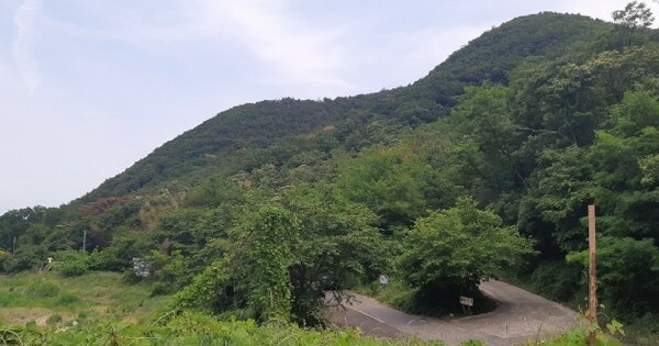 경상북도 포항시 남구 구룡포읍 병포리 OOOOOO 임야 경매 물건 이미지