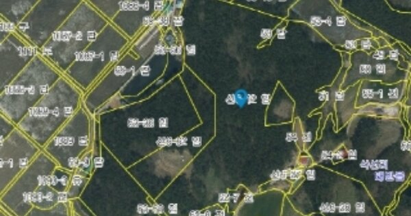 충청남도 태안군 태안읍 삭선리 OOOOO 임야 경매 물건 이미지