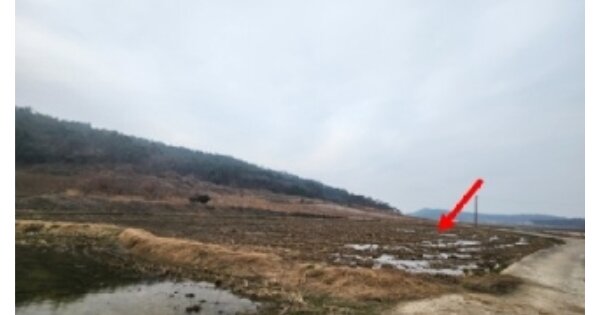 전라남도 신안군 지도읍 당촌리 OOOOOO 답 경매 물건 이미지
