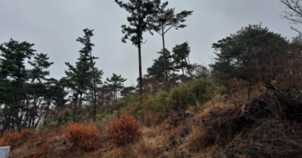 충청남도 서산시 지곡면 화천리 OOOOO 임야 경매 물건 이미지