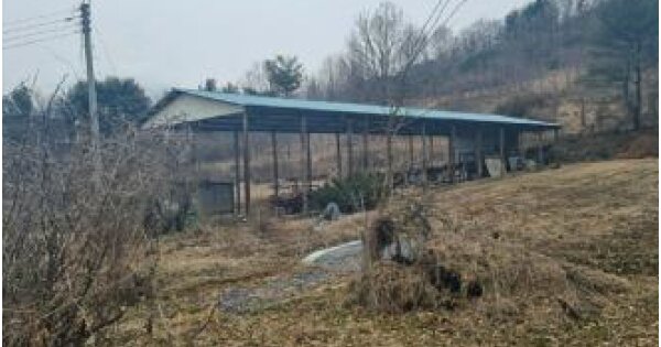 충청북도 청주시 흥덕구 강내면 연정리 OOO O OOO 동물 및 식물 관련시설 경매 물건 이미지