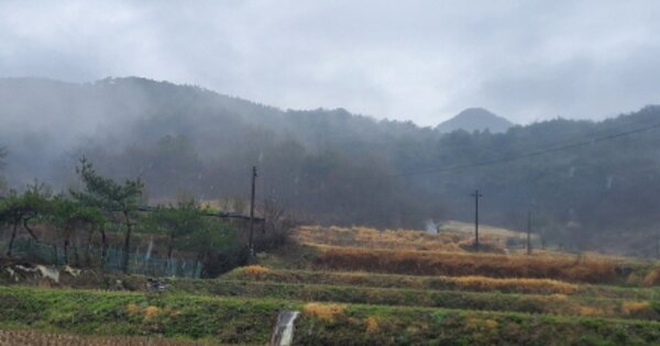 전라남도 순천시 주암면 오산리 OOOOO 임야 경매 물건 이미지