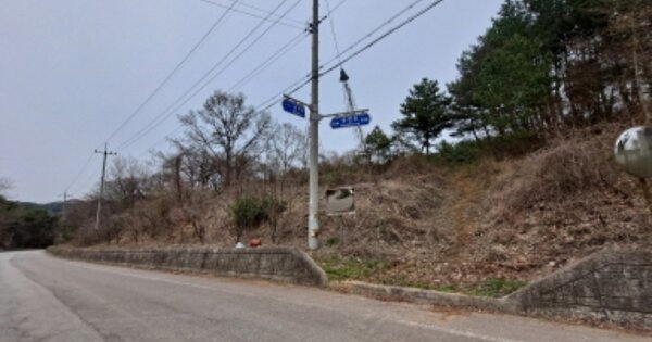 충청남도 당진시 대호지면 조금리 OOOOOO 임야 경매 물건 이미지
