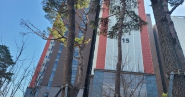 경기 시흥시 대야동 694, 115동 OOOOOOOO OOOOOOOOOOOOOOOO 아파트 경매 물건 이미지