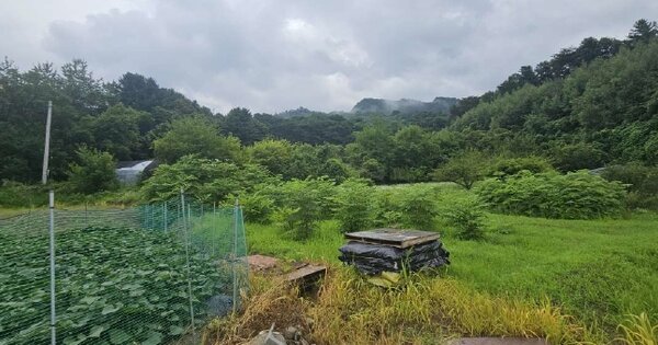 강원특별자치도 춘천시 동면 월곡리 OO O OOO 전 경매 물건 이미지