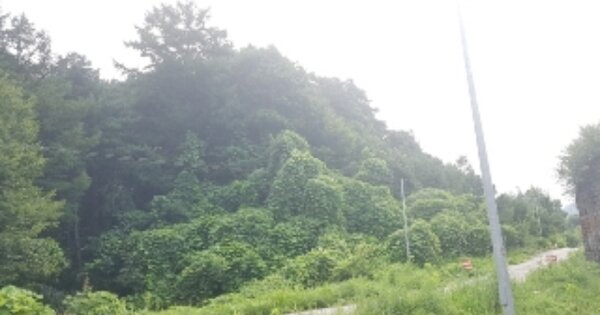 강원특별자치도 춘천시 동산면 조양리 OOO O OOO 전 경매 물건 이미지