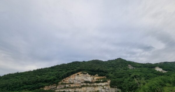 전라남도 고흥군 금산면 어전리 OOOO 임야 경매 물건 이미지