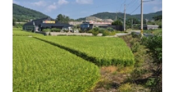 전라남도 무안군 삼향읍 유교리 OOOOOO 답 경매 물건 이미지