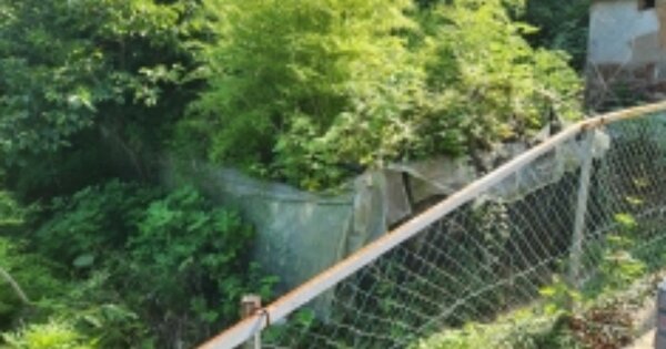 전라남도 순천시 별량면 금치리 OOOOO 대지 경매 물건 이미지