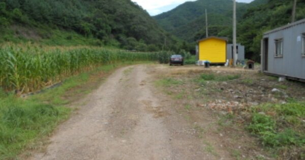 충청북도 진천군 초평면 신통리 483 외 1필지 전 경매 물건 이미지