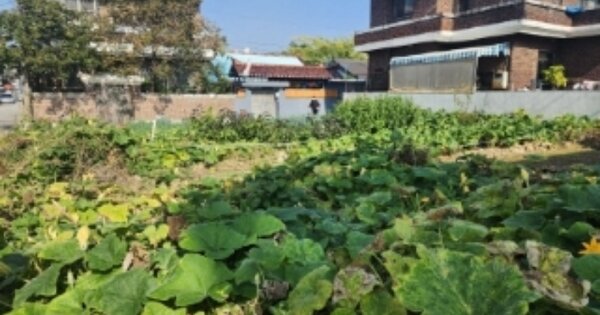 충청북도 청주시 청원구 우암동 OOOOO 대지 경매 물건 이미지