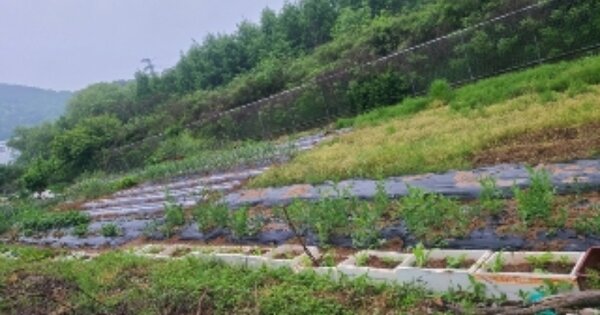 광주광역시 서구 풍암동 OOOOO 답 경매 물건 이미지