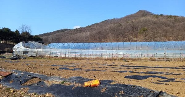 경기도 포천시 창수면 고소성리 OO 전 경매 물건 이미지