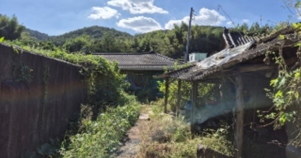 광주광역시 북구 망월동 OOO 대지 경매 물건 이미지