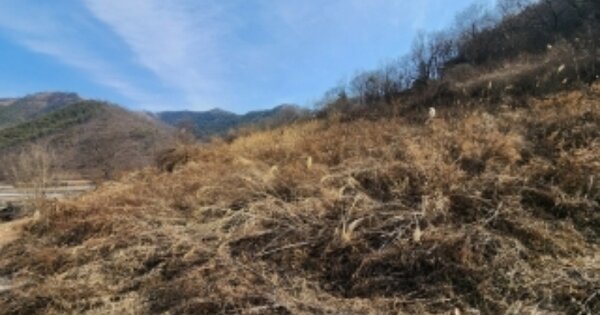 경상북도 안동시 남후면 하아리 OO O OOO 전 경매 물건 이미지