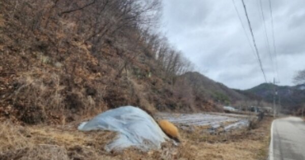 경상북도 안동시 예안면 구룡리 OOOOO 답 경매 물건 이미지