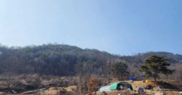 경상북도 안동시 풍산읍 수리 OOOOOO 임야 경매 물건 이미지