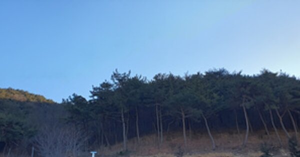 경상남도 김해시 흥동 OOO 임야 경매 물건 이미지