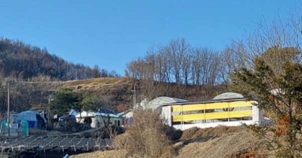 충청남도 금산군 남일면 황풍리 OOO 임야 경매 물건 이미지