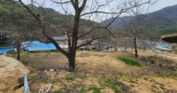 경상북도 안동시 길안면 금곡리 OOO 전 경매 물건 이미지