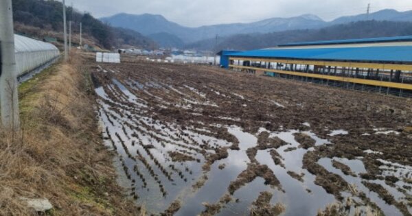 충청남도 천안시 동남구 병천면 봉항리 OOOOO 답 경매 물건 이미지