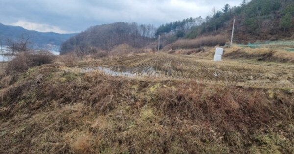 충청남도 천안시 동남구 병천면 봉항리 OOOOO 답 경매 물건 이미지