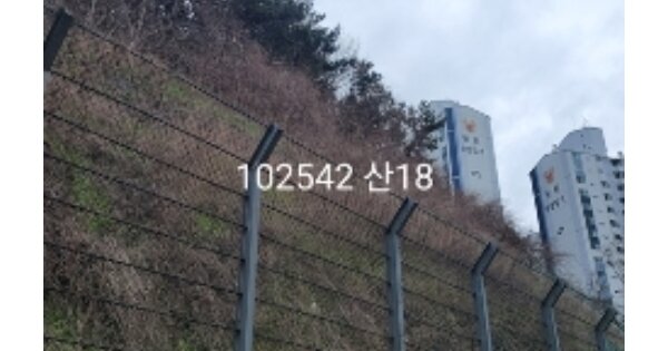 부산광역시 남구 대연동 OOO 임야 경매 물건 이미지