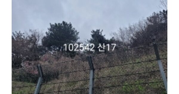 부산광역시 남구 대연동 OOO 임야 경매 물건 이미지