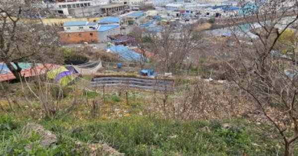 부산광역시 사하구 장림동 OOO 전 경매 물건 이미지