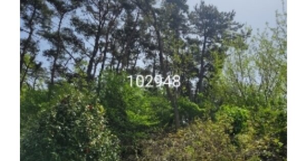 부산광역시 기장군 장안읍 덕선리 OOOOOOO 임야 경매 물건 이미지