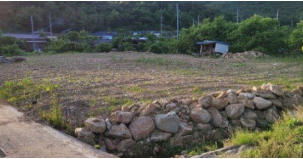 경상북도 청도군 금천면 박곡리 OOO 전 경매 물건 이미지