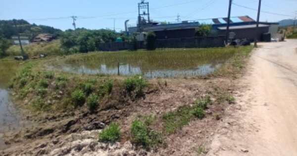 충청남도 금산군 금성면 상가리 OOOO 대지 경매 물건 이미지