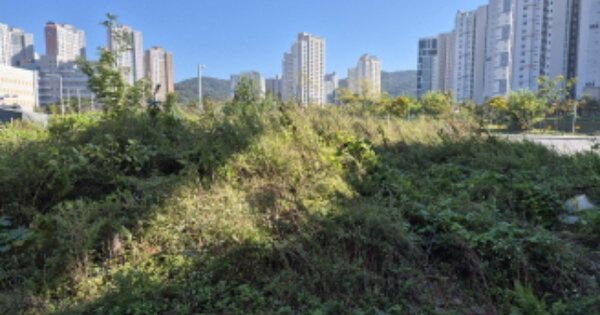 울산광역시 북구 송정동 OOOOOO 대지 경매 물건 이미지