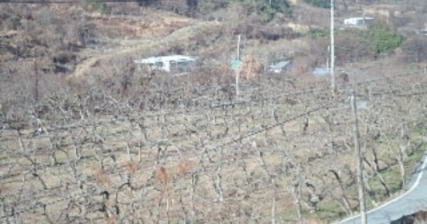경상남도 밀양시 활성동 OOOOO 종교시설 경매 물건 이미지