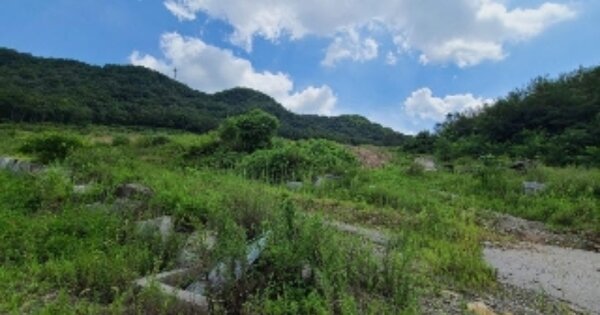 전라남도 화순군 동면 복암리 OOOOOO 과수원 경매 물건 이미지