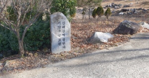 경상북도 성주군 수륜면 송계리 OOO 묘지 경매 물건 이미지