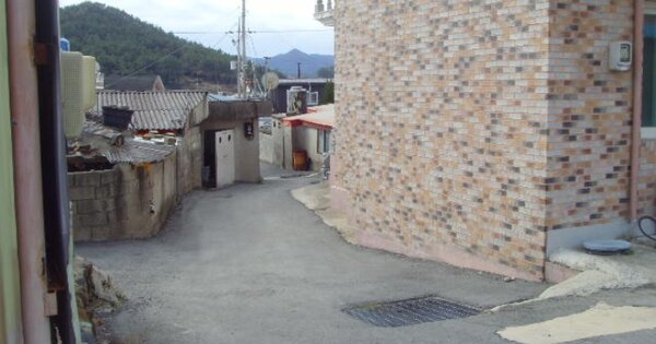전라남도 완도군 노화읍 고막리 OOOOO O OOO 도로 경매 물건 이미지