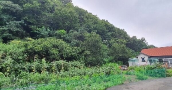 경상남도 의령군 가례면 대천리 OOO 전 경매 물건 이미지