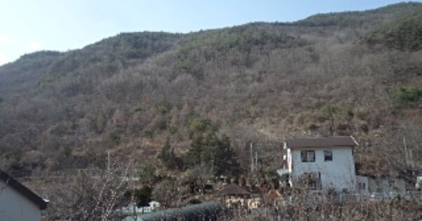 경상남도 밀양시 단장면 사연리 OOOOO O OOO 임야 경매 물건 이미지
