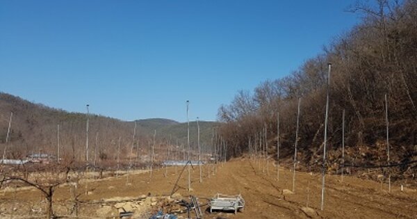 경상북도 의성군 안평면 괴산리 OOO O OOO 전 경매 물건 이미지