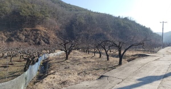 경상북도 의성군 안평면 괴산리 OOOOO O OOO 답 경매 물건 이미지
