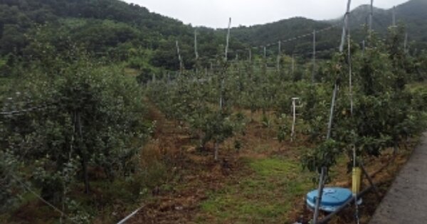 경상남도 밀양시 산내면 임고리 OOO 답 경매 물건 이미지
