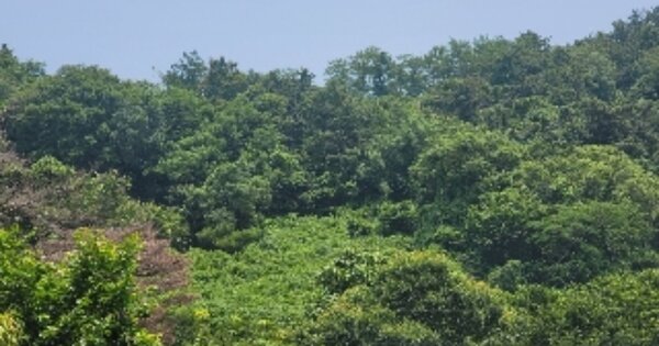 경상남도 거제시 사등면 지석리 OOO O OOO 전 경매 물건 이미지
