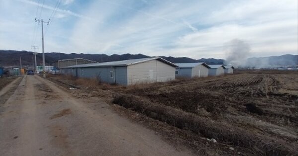 충청남도 청양군 운곡면 영양리 OOOOOO O OOO 동물 및 식물 관련시설 경매 물건 이미지