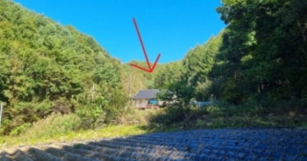 강원특별자치도 평창군 진부면 상진부리 OOO O OOOO 임야 경매 물건 이미지