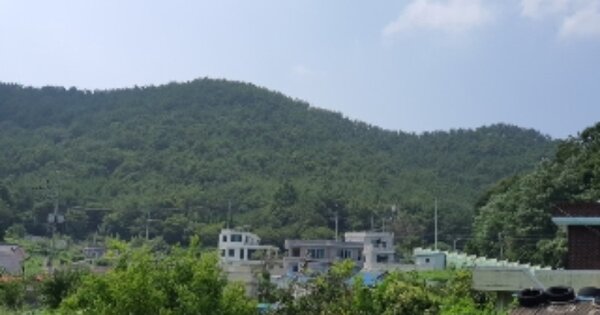 경상남도 창원시 마산합포구 구산면 심리 OOOOOO 임야 경매 물건 이미지