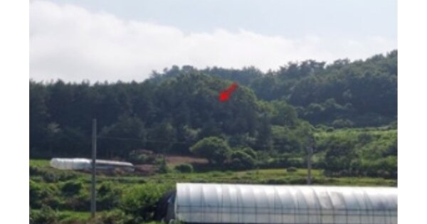 전라남도 함평군 손불면 죽장리 OOOOO 전 경매 물건 이미지