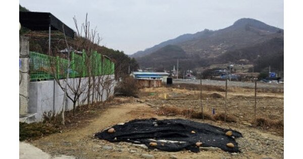 충청북도 충주시 동량면 조동리 OOOOOO 전 경매 물건 이미지