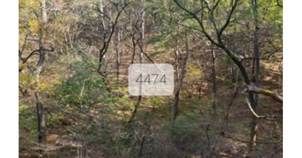부산광역시 기장군 철마면 임기리 OOOOO 임야 경매 물건 이미지